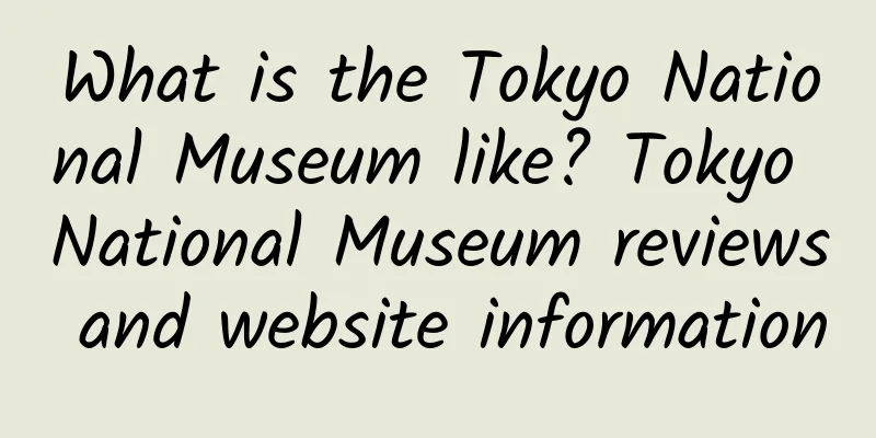 What is the Tokyo National Museum like? Tokyo National Museum reviews and website information