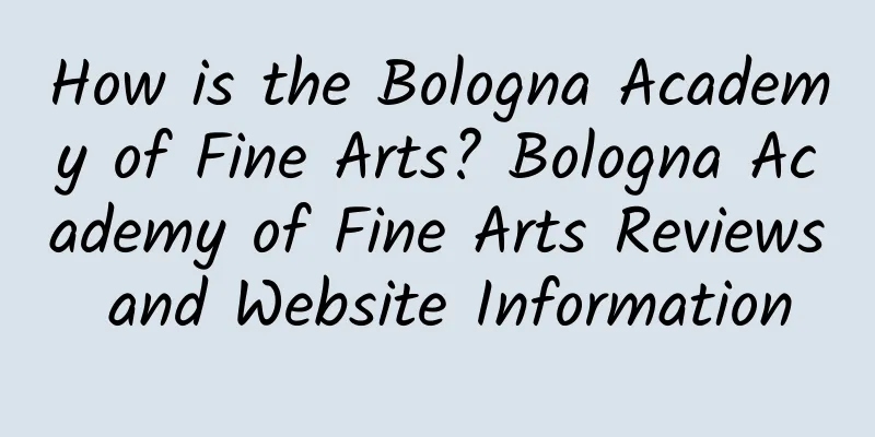 How is the Bologna Academy of Fine Arts? Bologna Academy of Fine Arts Reviews and Website Information