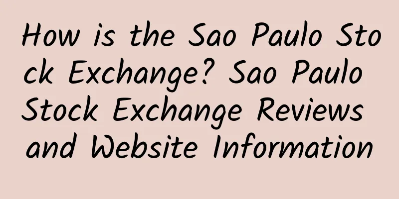 How is the Sao Paulo Stock Exchange? Sao Paulo Stock Exchange Reviews and Website Information