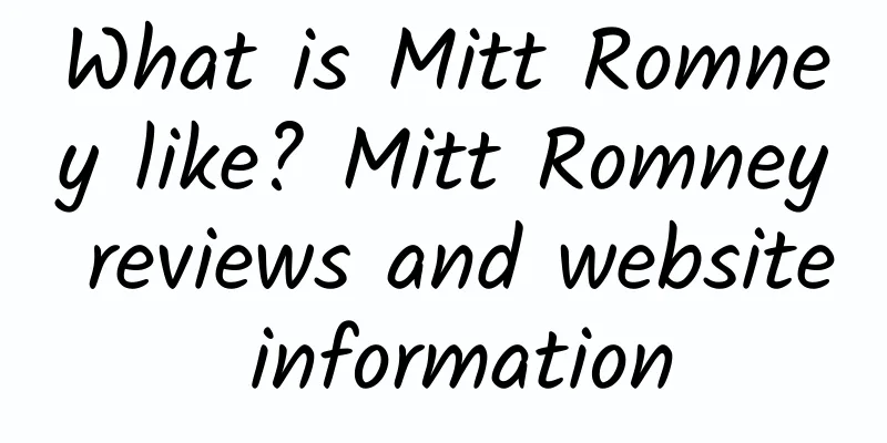 What is Mitt Romney like? Mitt Romney reviews and website information