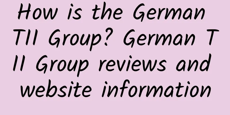 How is the German TII Group? German TII Group reviews and website information