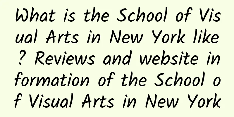 What is the School of Visual Arts in New York like? Reviews and website information of the School of Visual Arts in New York
