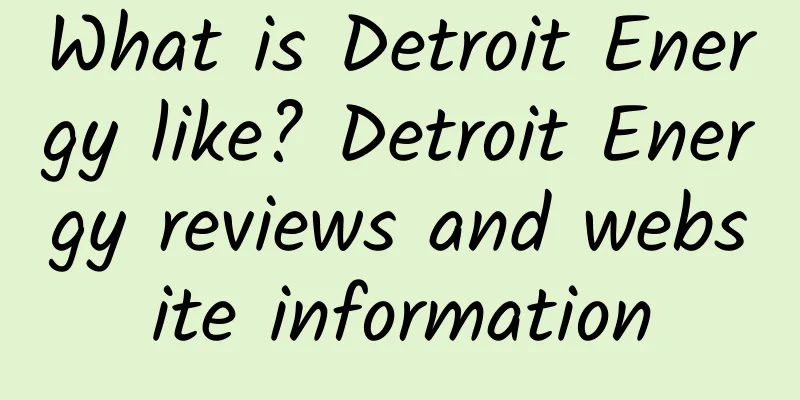 What is Detroit Energy like? Detroit Energy reviews and website information