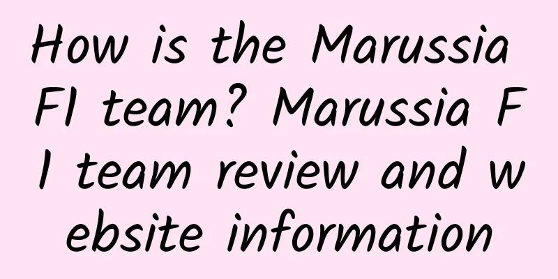 How is the Marussia F1 team? Marussia F1 team review and website information