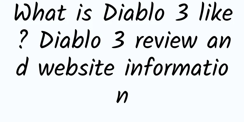 What is Diablo 3 like? Diablo 3 review and website information