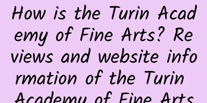 How is the Turin Academy of Fine Arts? Reviews and website information of the Turin Academy of Fine Arts