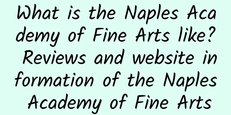 What is the Naples Academy of Fine Arts like? Reviews and website information of the Naples Academy of Fine Arts