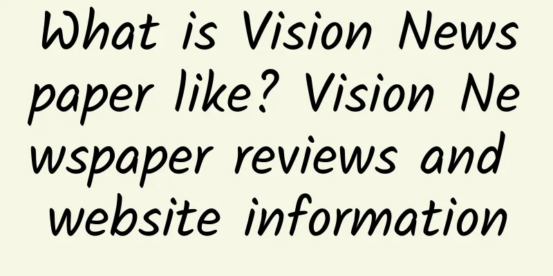 What is Vision Newspaper like? Vision Newspaper reviews and website information