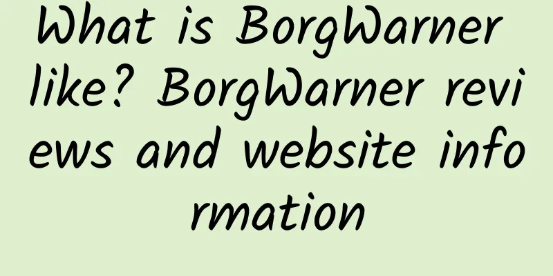 What is BorgWarner like? BorgWarner reviews and website information
