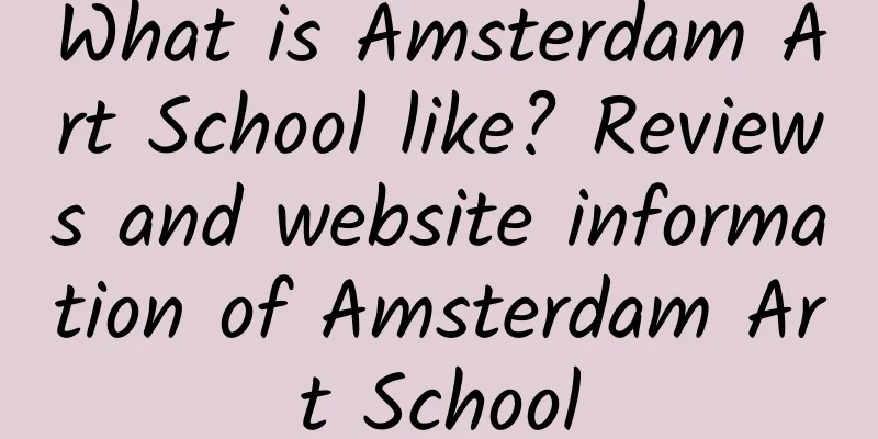 What is Amsterdam Art School like? Reviews and website information of Amsterdam Art School