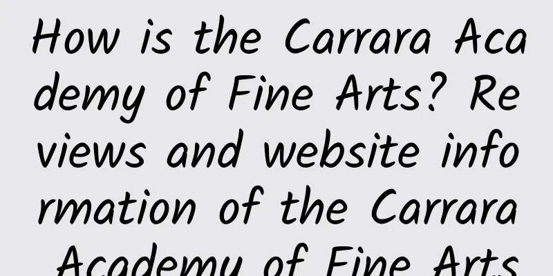 How is the Carrara Academy of Fine Arts? Reviews and website information of the Carrara Academy of Fine Arts