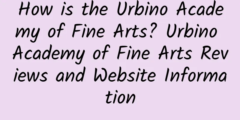 How is the Urbino Academy of Fine Arts? Urbino Academy of Fine Arts Reviews and Website Information