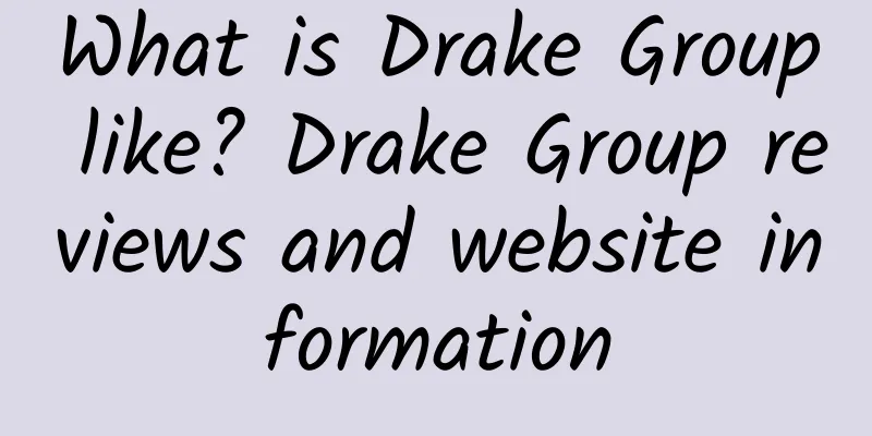 What is Drake Group like? Drake Group reviews and website information