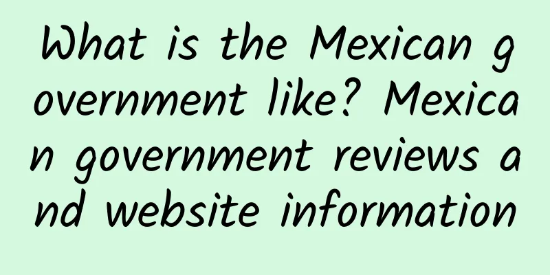 What is the Mexican government like? Mexican government reviews and website information