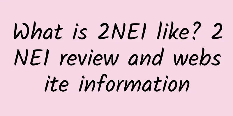 What is 2NE1 like? 2NE1 review and website information
