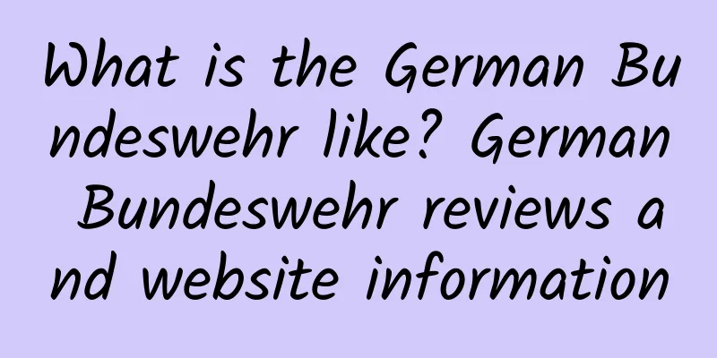 What is the German Bundeswehr like? German Bundeswehr reviews and website information