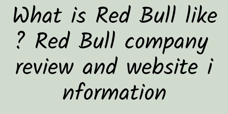 What is Red Bull like? Red Bull company review and website information