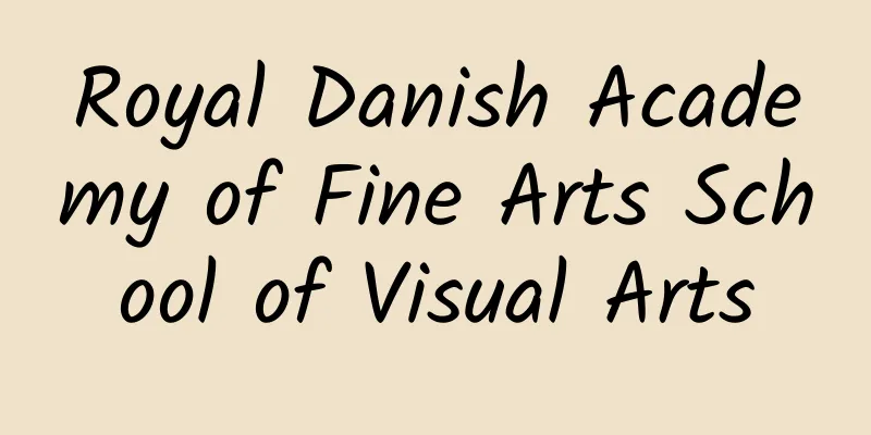 Royal Danish Academy of Fine Arts School of Visual Arts