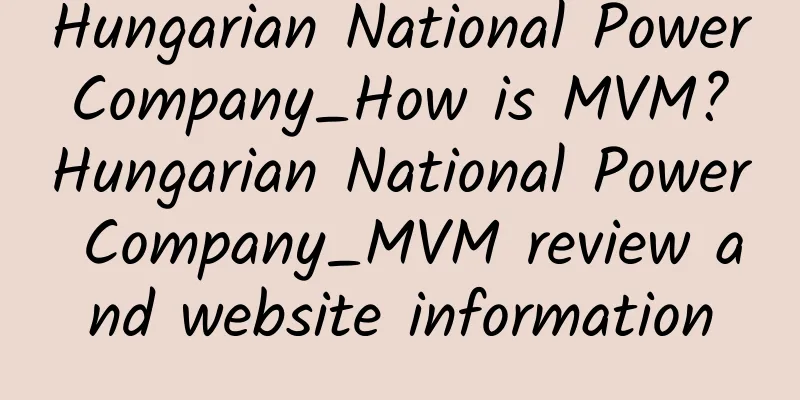 Hungarian National Power Company_How is MVM? Hungarian National Power Company_MVM review and website information