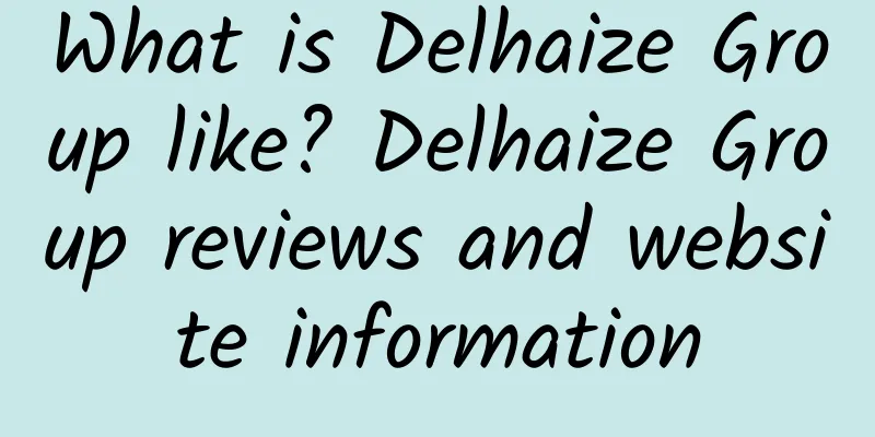 What is Delhaize Group like? Delhaize Group reviews and website information