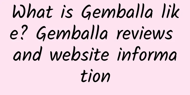 What is Gemballa like? Gemballa reviews and website information