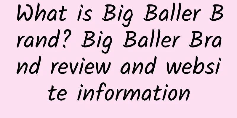 What is Big Baller Brand? Big Baller Brand review and website information