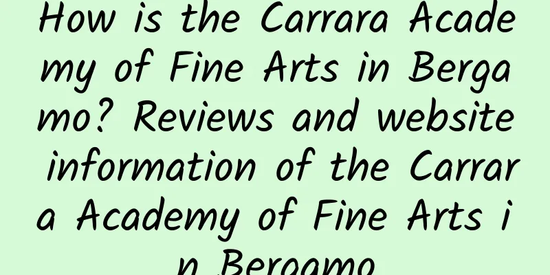 How is the Carrara Academy of Fine Arts in Bergamo? Reviews and website information of the Carrara Academy of Fine Arts in Bergamo