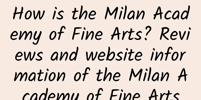 How is the Milan Academy of Fine Arts? Reviews and website information of the Milan Academy of Fine Arts