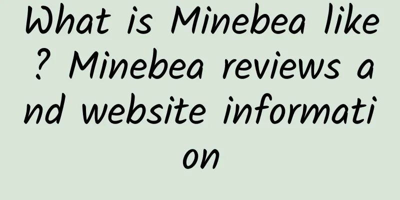 What is Minebea like? Minebea reviews and website information