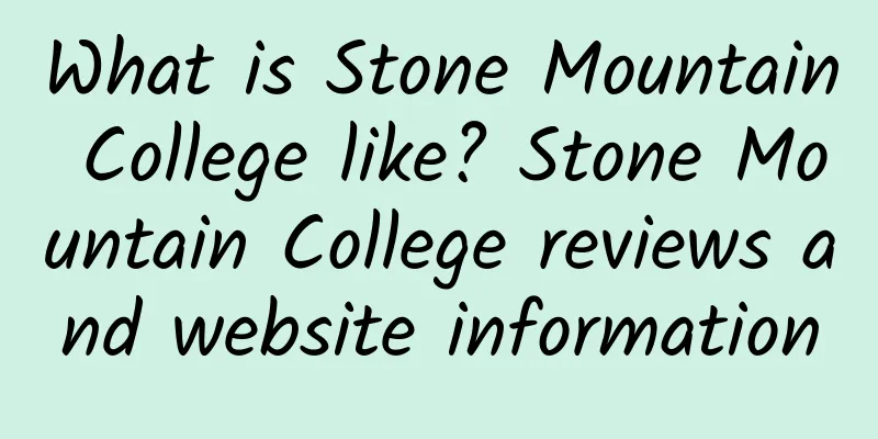 What is Stone Mountain College like? Stone Mountain College reviews and website information