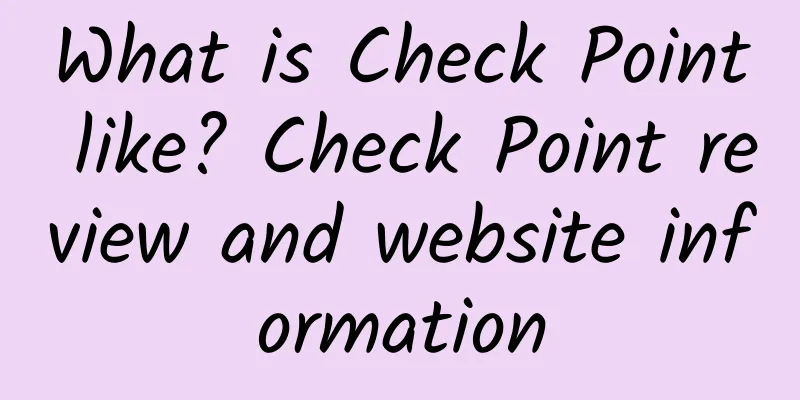 What is Check Point like? Check Point review and website information