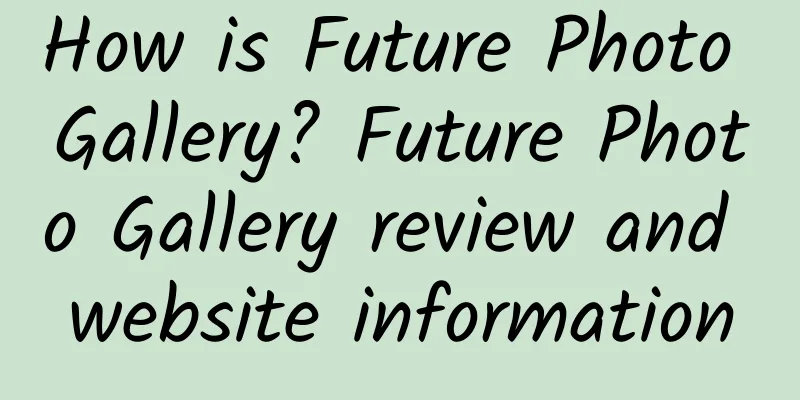 How is Future Photo Gallery? Future Photo Gallery review and website information