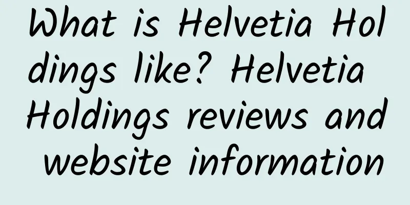 What is Helvetia Holdings like? Helvetia Holdings reviews and website information