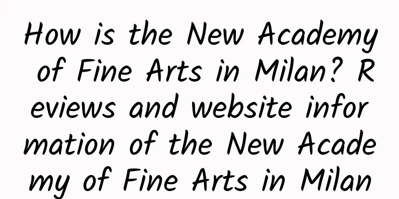 How is the New Academy of Fine Arts in Milan? Reviews and website information of the New Academy of Fine Arts in Milan