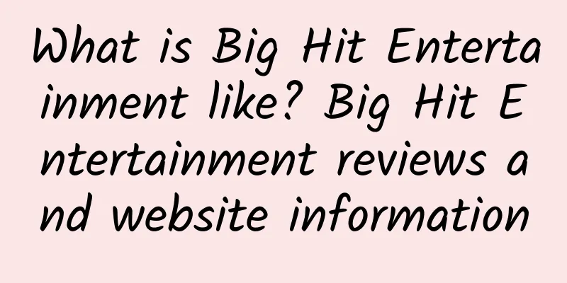 What is Big Hit Entertainment like? Big Hit Entertainment reviews and website information