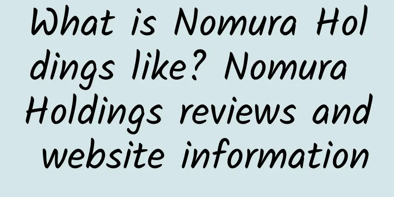 What is Nomura Holdings like? Nomura Holdings reviews and website information