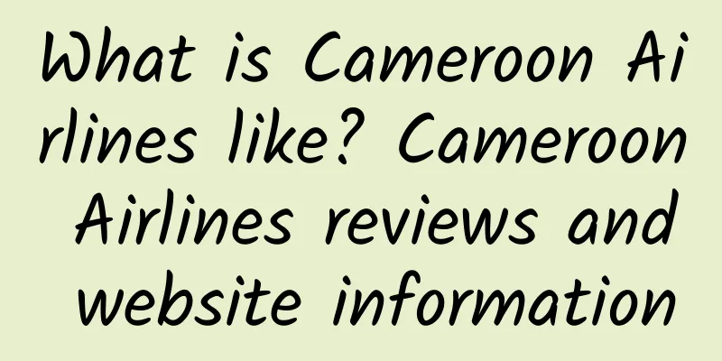 What is Cameroon Airlines like? Cameroon Airlines reviews and website information