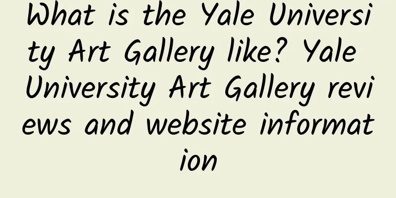 What is the Yale University Art Gallery like? Yale University Art Gallery reviews and website information