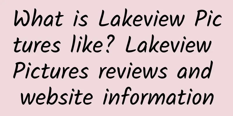 What is Lakeview Pictures like? Lakeview Pictures reviews and website information