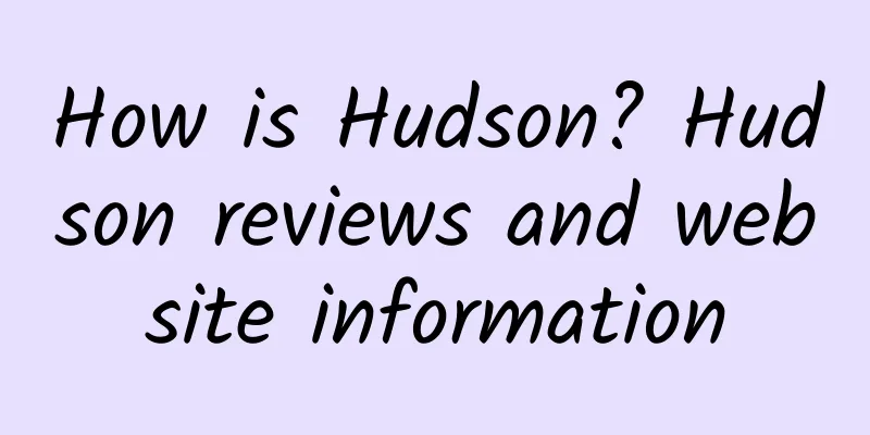 How is Hudson? Hudson reviews and website information