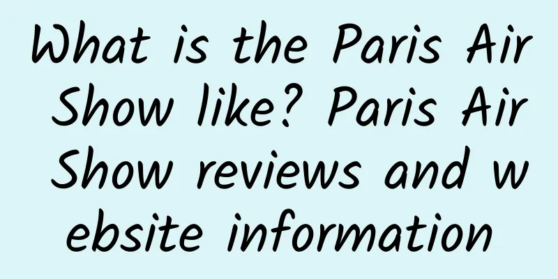 What is the Paris Air Show like? Paris Air Show reviews and website information