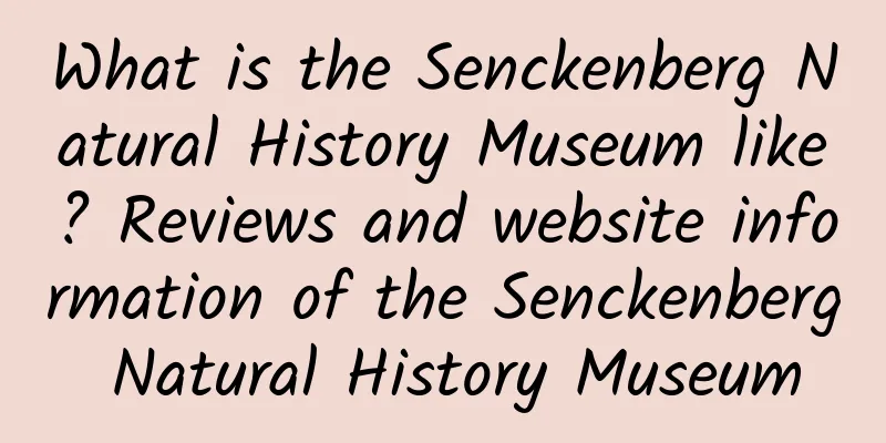 What is the Senckenberg Natural History Museum like? Reviews and website information of the Senckenberg Natural History Museum