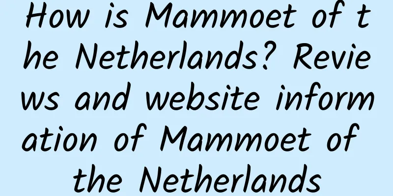 How is Mammoet of the Netherlands? Reviews and website information of Mammoet of the Netherlands