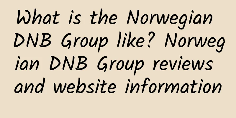 What is the Norwegian DNB Group like? Norwegian DNB Group reviews and website information
