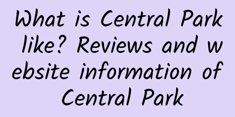 What is Central Park like? Reviews and website information of Central Park