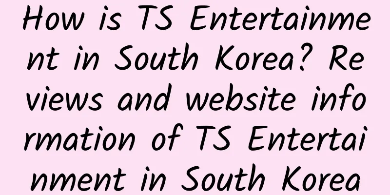 How is TS Entertainment in South Korea? Reviews and website information of TS Entertainment in South Korea