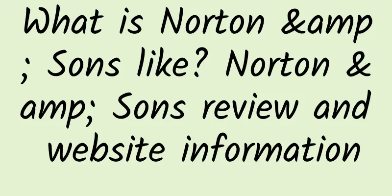 What is Norton & Sons like? Norton & Sons review and website information