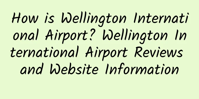 How is Wellington International Airport? Wellington International Airport Reviews and Website Information