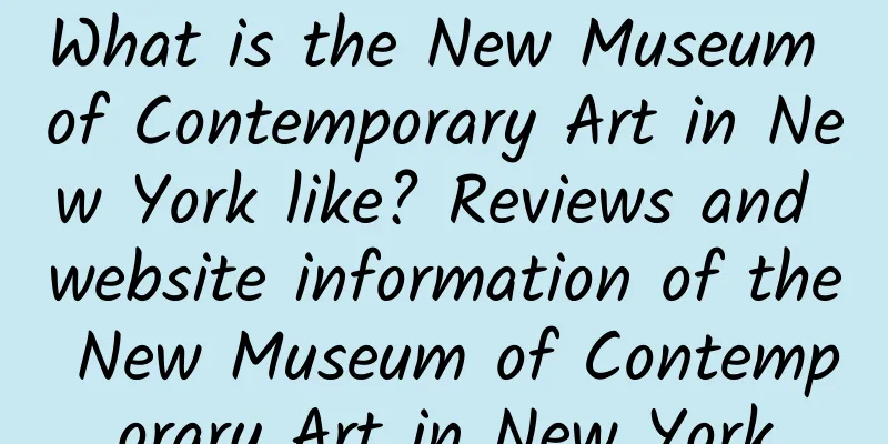 What is the New Museum of Contemporary Art in New York like? Reviews and website information of the New Museum of Contemporary Art in New York
