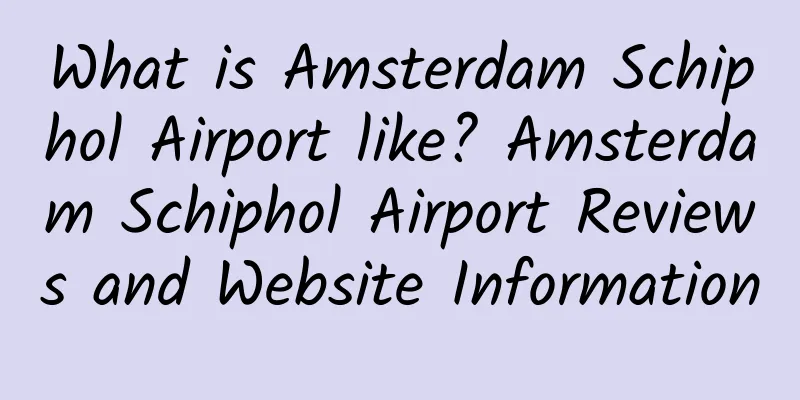 What is Amsterdam Schiphol Airport like? Amsterdam Schiphol Airport Reviews and Website Information